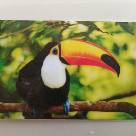 Tucan 普拉亚卡门 外观 照片